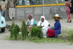 vendeurs d'herbe pour la cérémonie du café